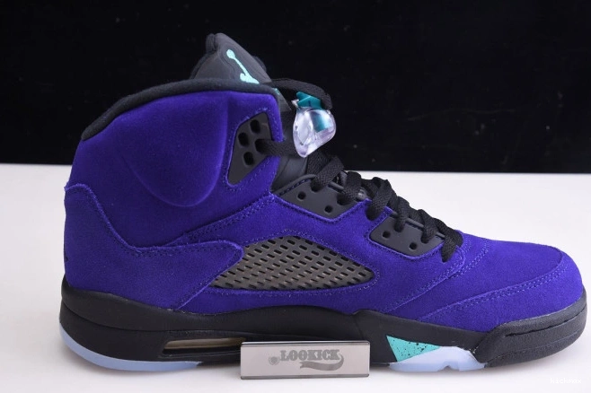Rep Air Jordan Alternate 136027-500 Retro Grape 5 0811